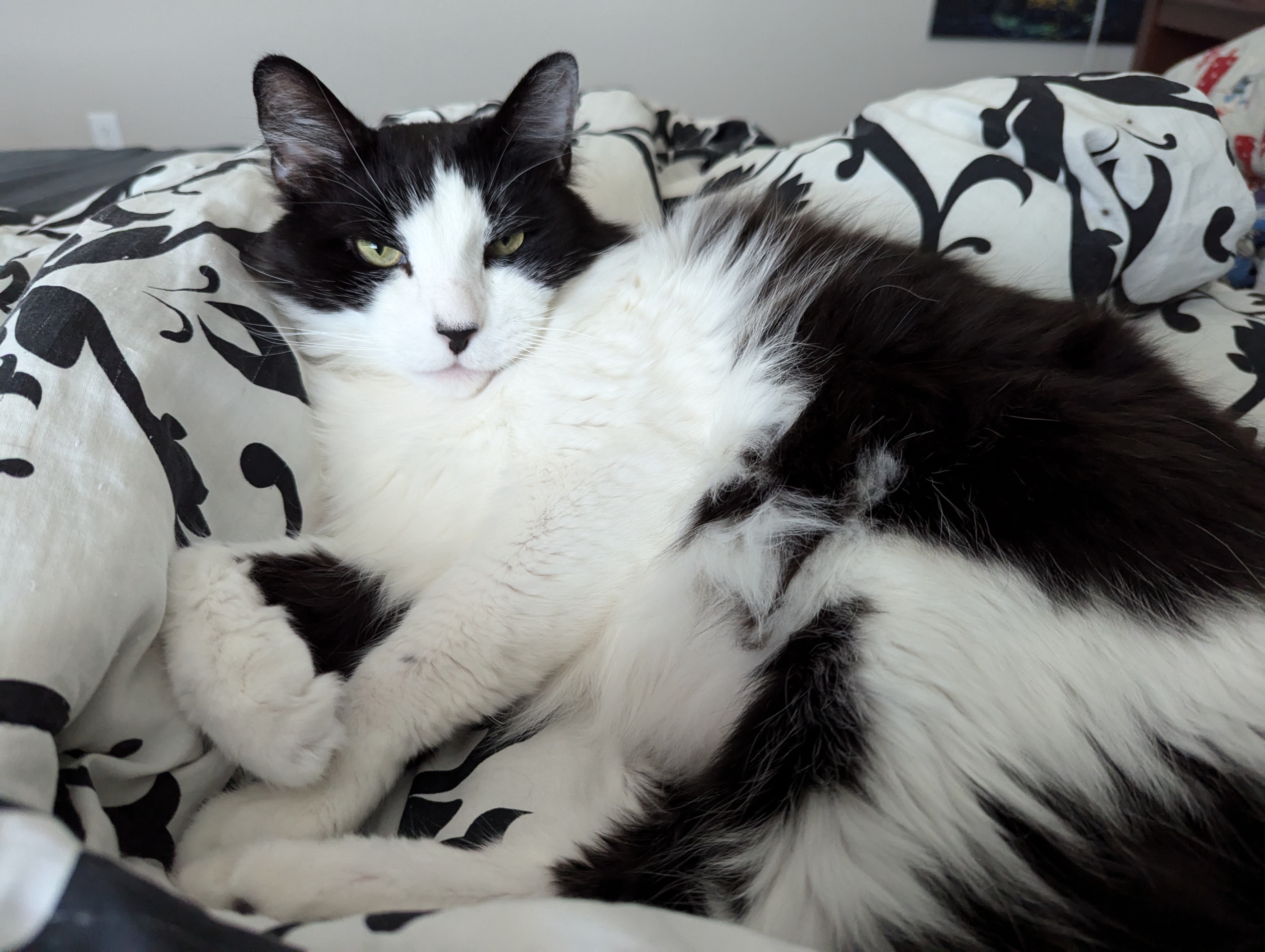 The elder statesman of the house